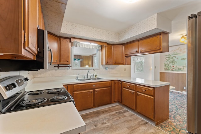 kitchen with sink, light hardwood / wood-style flooring, appliances with stainless steel finishes, and kitchen peninsula