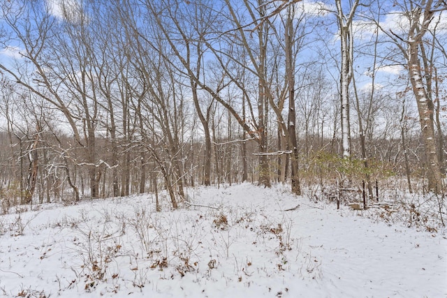 view of snowy landscape