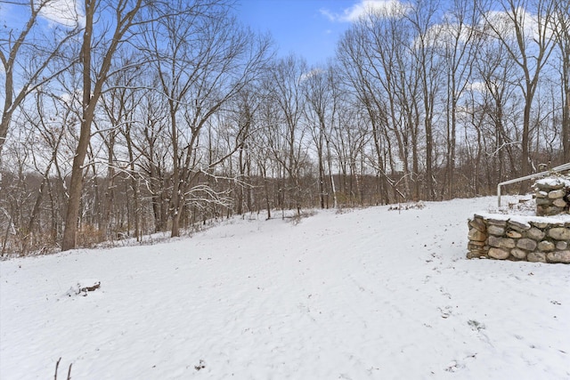 view of yard covered in snow