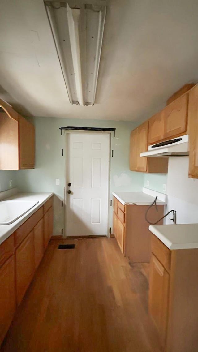 kitchen featuring light wood-type flooring and sink