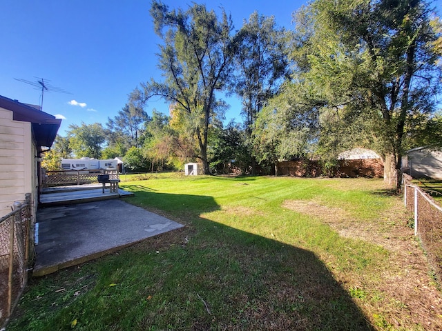 view of yard featuring a patio and a storage shed