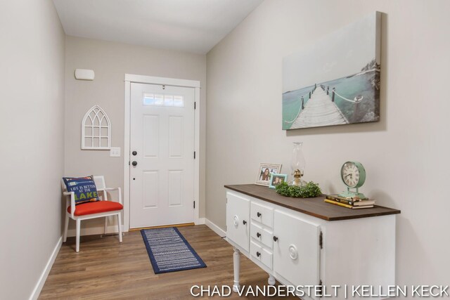 entryway with hardwood / wood-style floors