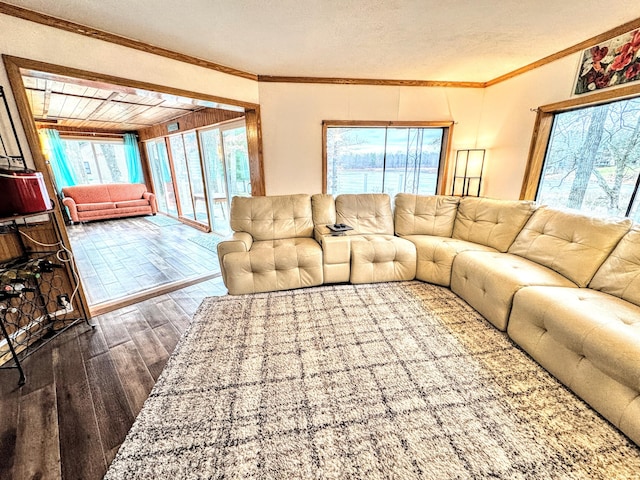 living room featuring hardwood / wood-style flooring, crown molding, and a textured ceiling