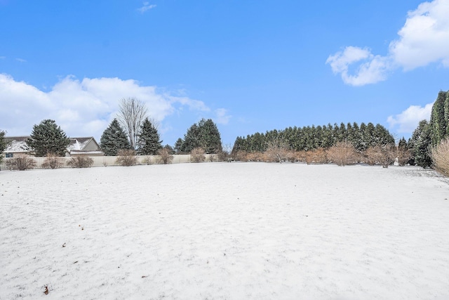 view of yard layered in snow