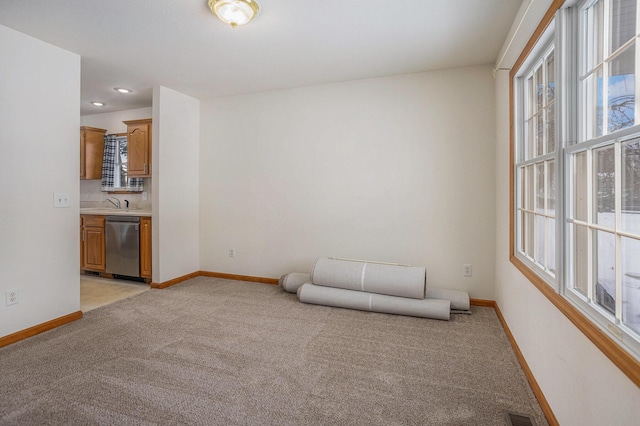 empty room with light colored carpet and sink