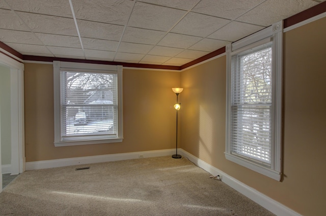 carpeted empty room with a drop ceiling, ornamental molding, and a wealth of natural light