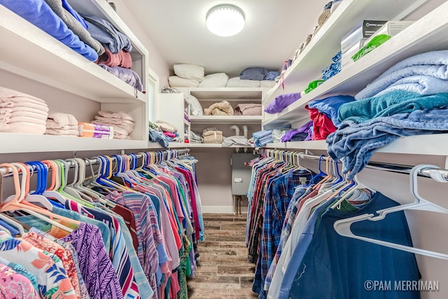 spacious closet with hardwood / wood-style floors