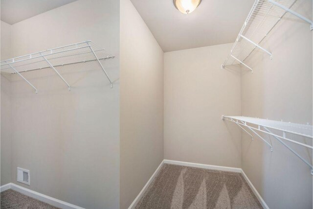 spacious closet with visible vents and carpet flooring