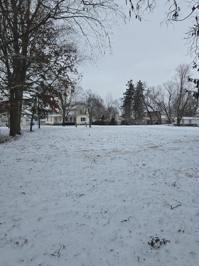 view of snowy yard