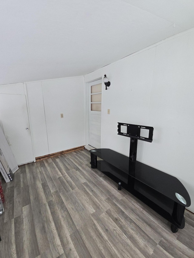 workout room with built in features and wood-type flooring