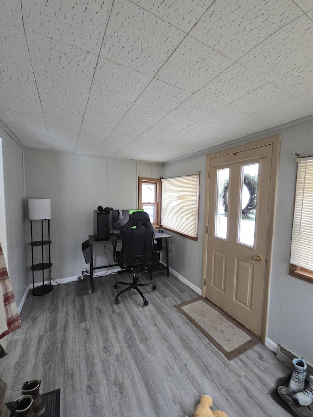 office featuring hardwood / wood-style floors