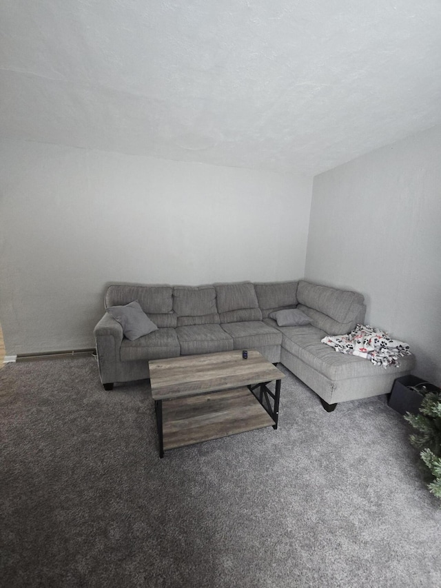 carpeted living room with a textured ceiling