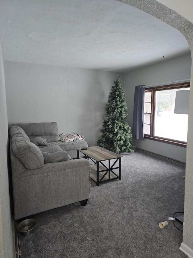 living room with carpet flooring and a textured ceiling