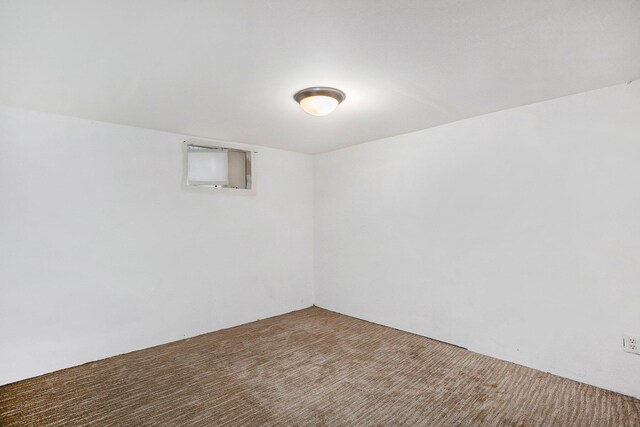 basement featuring carpet