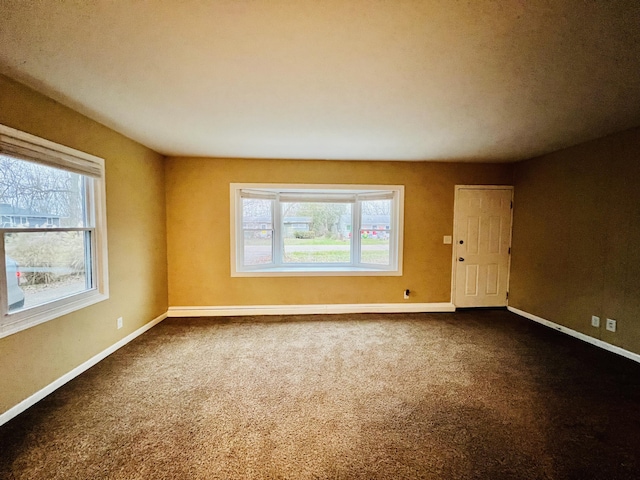 unfurnished room with carpet and a wealth of natural light