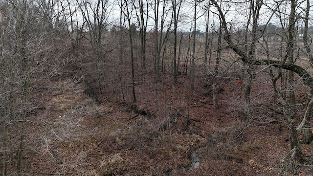 view of local wilderness