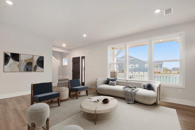 living room with wood-type flooring