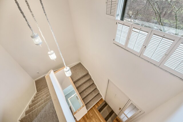 staircase featuring a high ceiling and wood finished floors
