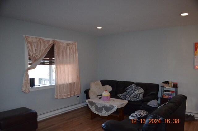 living room featuring a baseboard radiator and dark hardwood / wood-style flooring