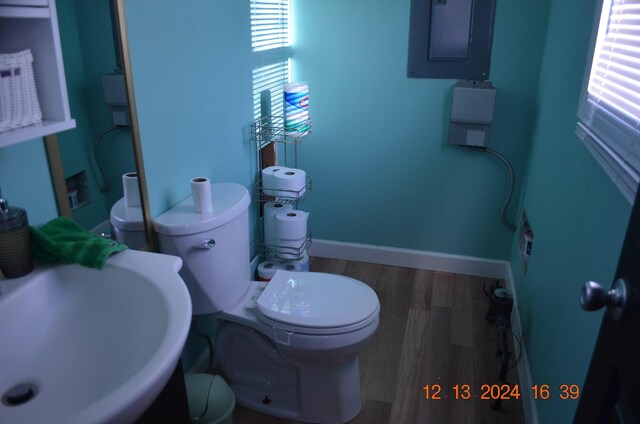 bathroom with sink, hardwood / wood-style floors, electric panel, and toilet