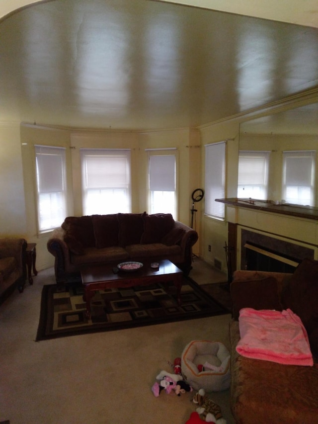 view of carpeted living room