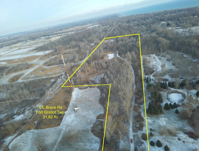 V/L Brace Rd, Lakeport MI, 48059 land for sale