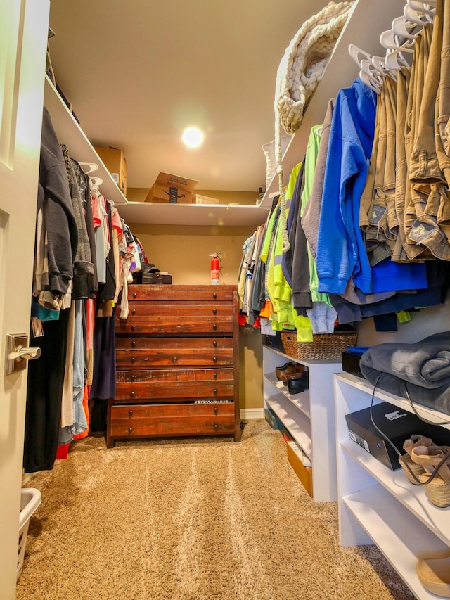 spacious closet featuring carpet flooring