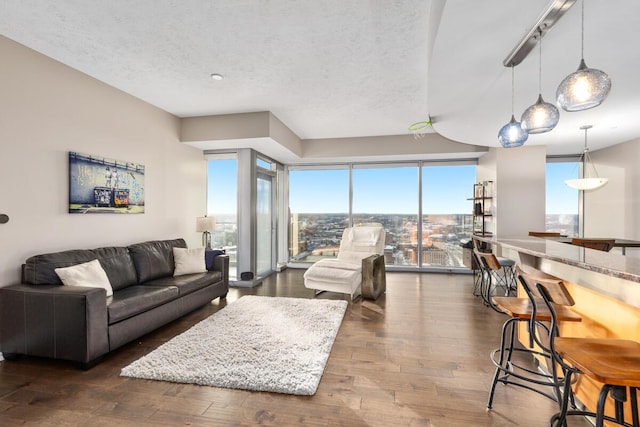 living room with a textured ceiling and dark wood-type flooring