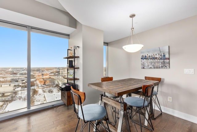 dining room with dark wood-type flooring