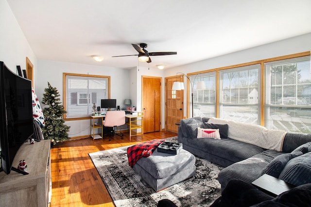 living room with a wealth of natural light, ceiling fan, and light hardwood / wood-style floors