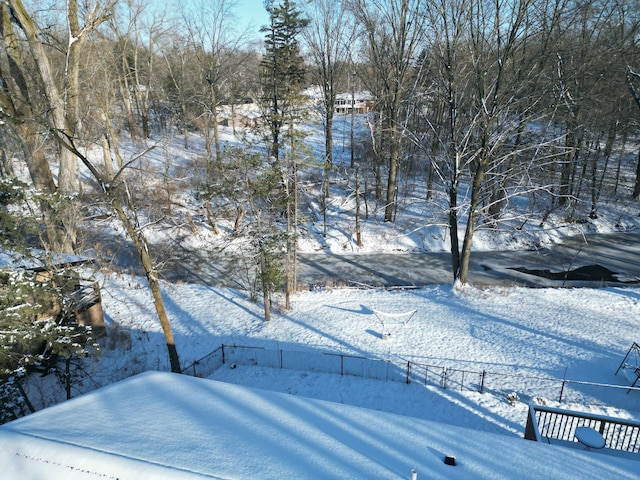 view of yard covered in snow