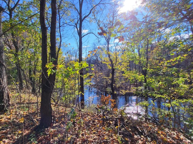 view of water feature