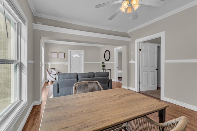 dining area featuring ceiling fan, dark hardwood / wood-style flooring, and ornamental molding