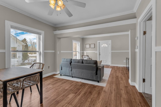 living room with crown molding, ceiling fan, and wood-type flooring