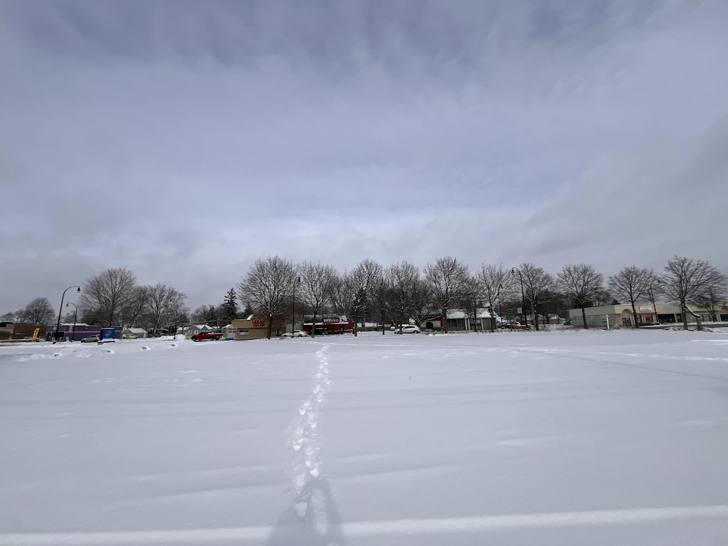 27545 Plymouth Rd, Livonia, MI 48150 - photo 4