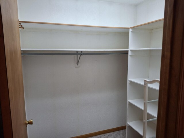 walk in closet with carpet