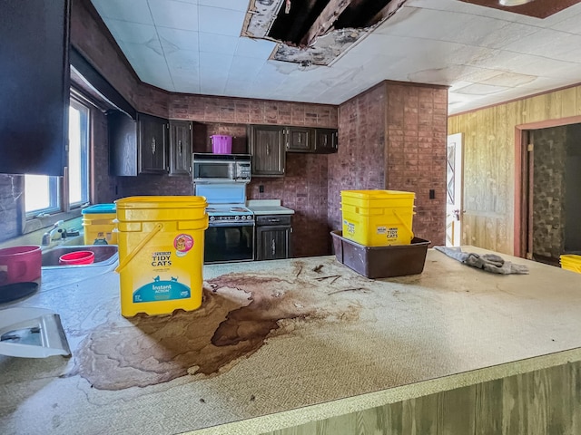 kitchen with range, dark brown cabinetry, and wooden walls