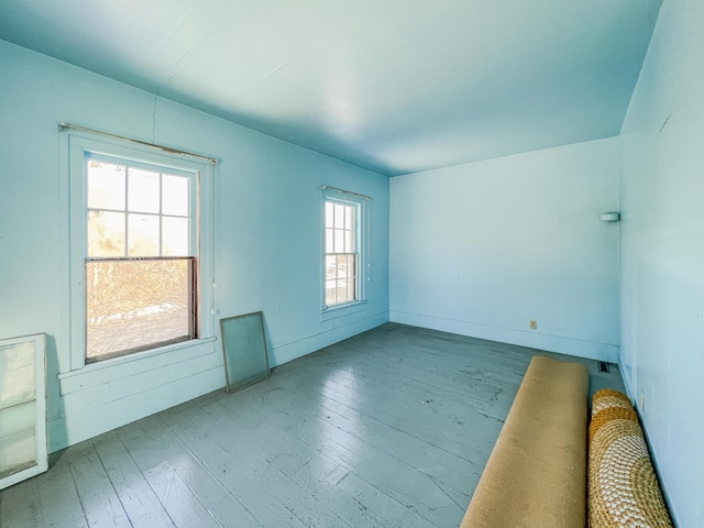 empty room featuring a wealth of natural light and wood-type flooring