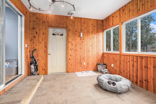 interior space featuring wood walls and track lighting