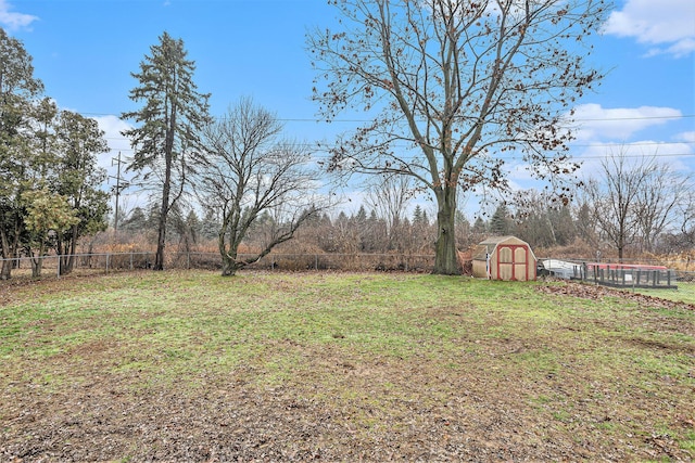 view of yard with a storage shed