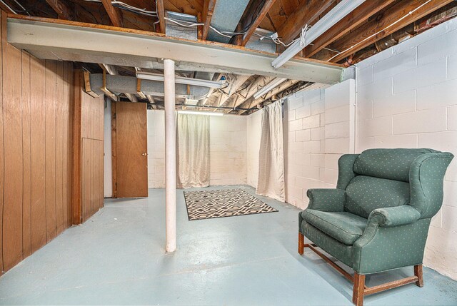 basement with wood walls