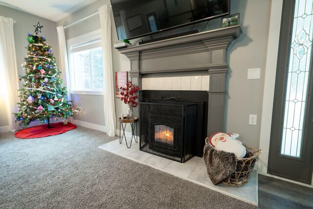 room details featuring a fireplace and carpet floors