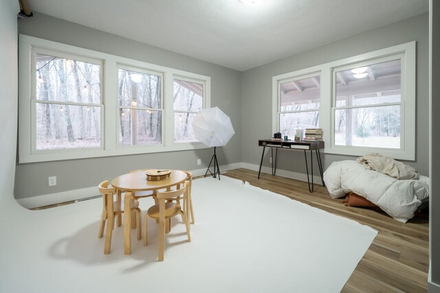 misc room with light hardwood / wood-style floors and plenty of natural light