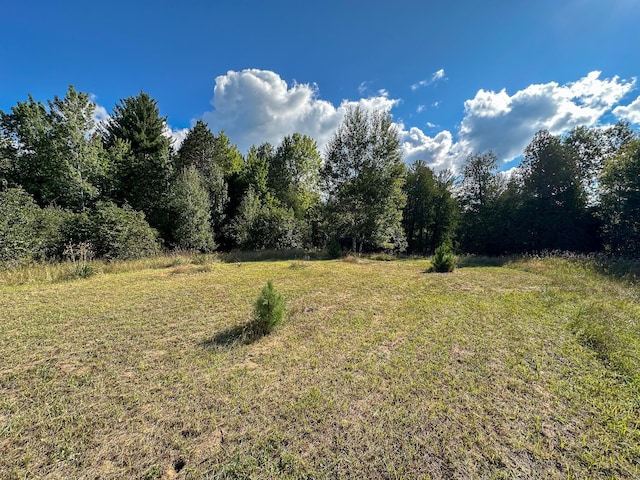 4.43 W 16th Rd, Mesick MI, 49668 land for sale