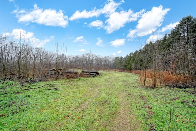 view of yard featuring a rural view