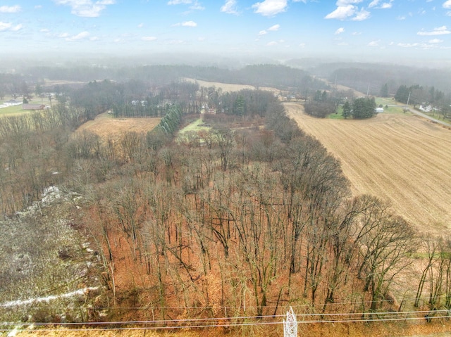 bird's eye view featuring a rural view