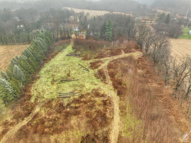 birds eye view of property featuring a rural view