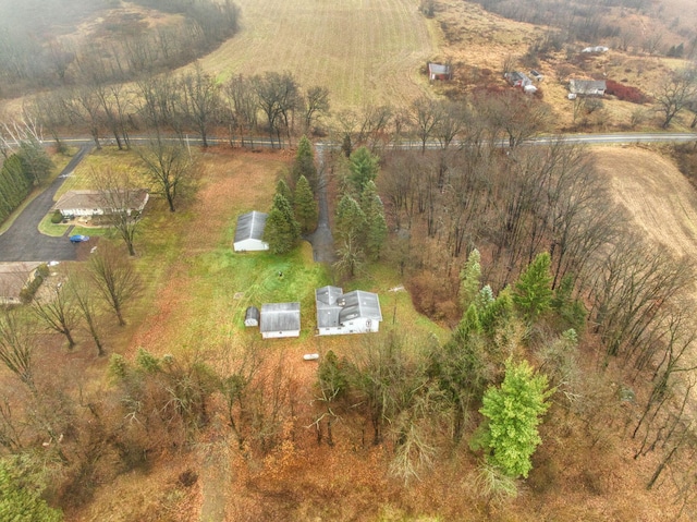 bird's eye view featuring a rural view