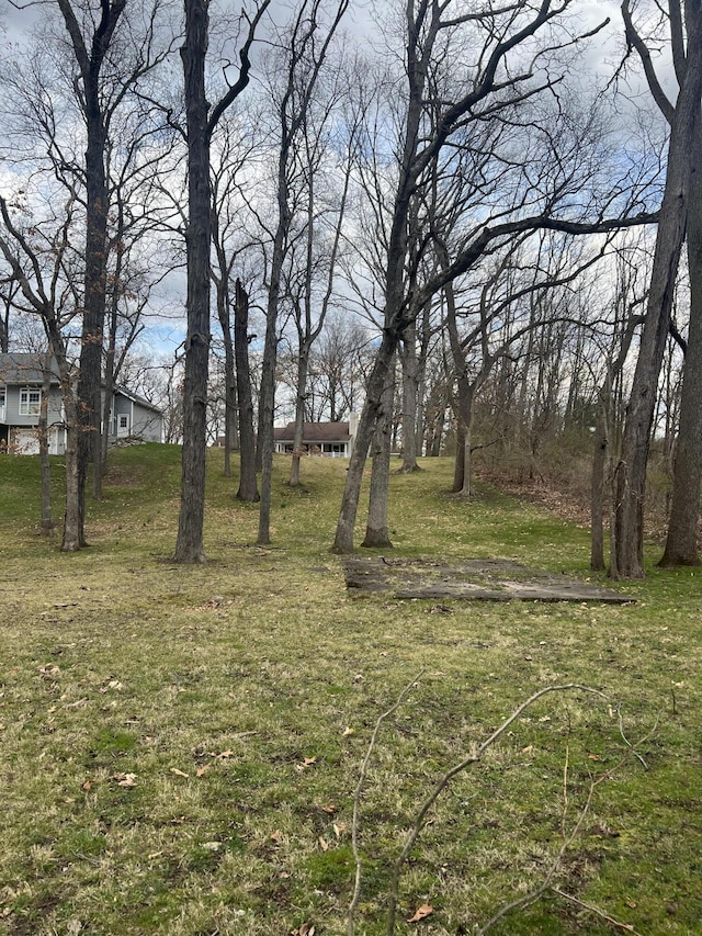 Listing photo 3 for E Riverside Rd, Lot L, Buchanan MI 49107