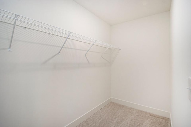 spacious closet with light colored carpet